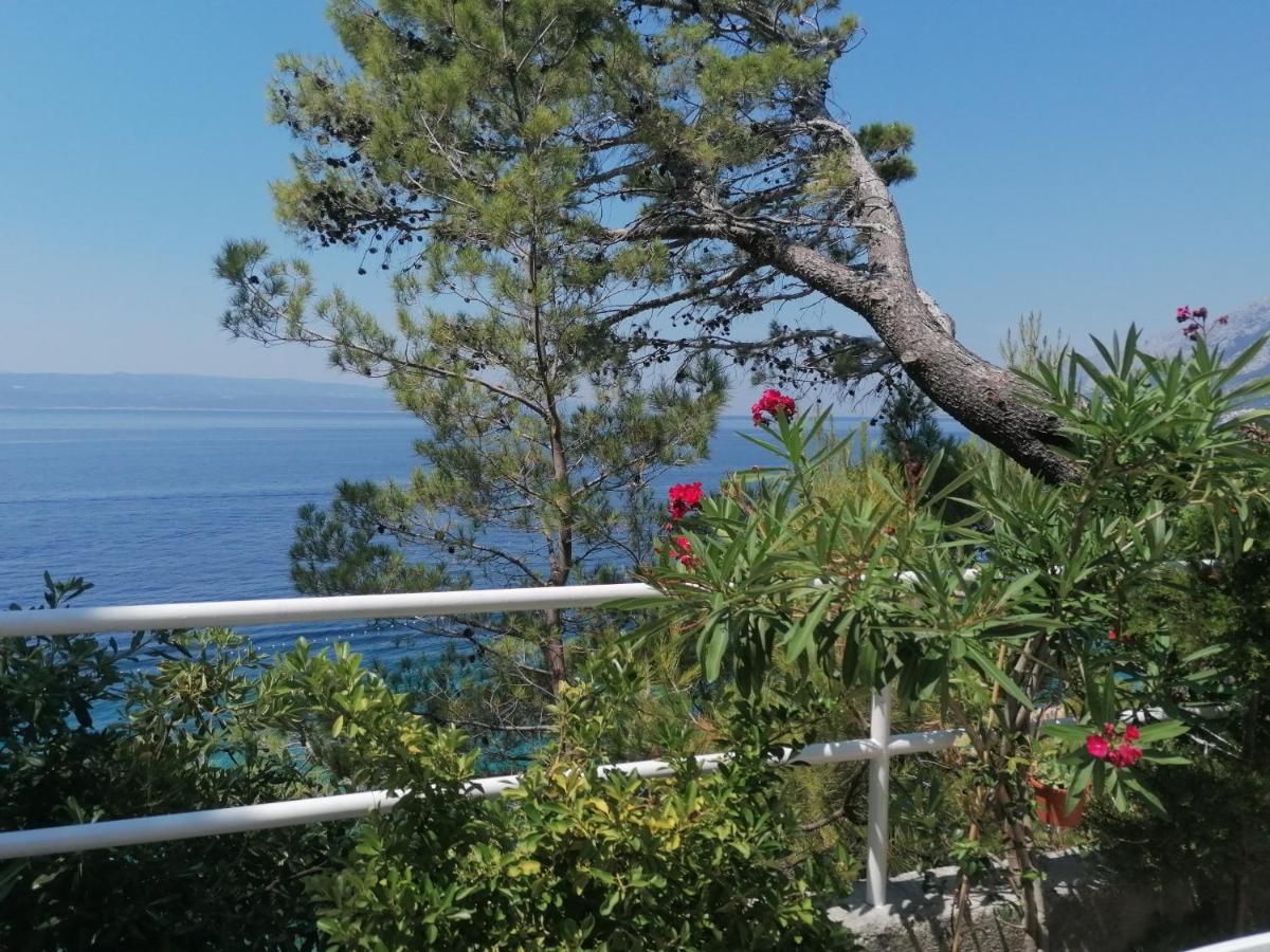 Apartmani Mares - 20 M From The Beach Brela Exterior foto