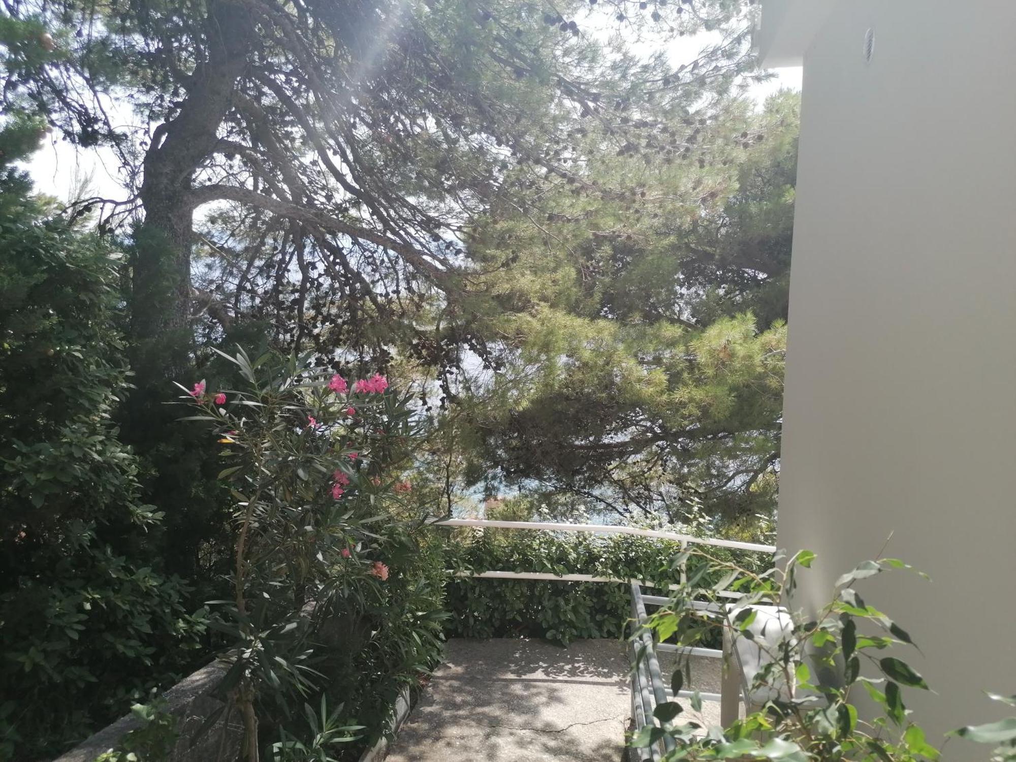 Apartmani Mares - 20 M From The Beach Brela Exterior foto
